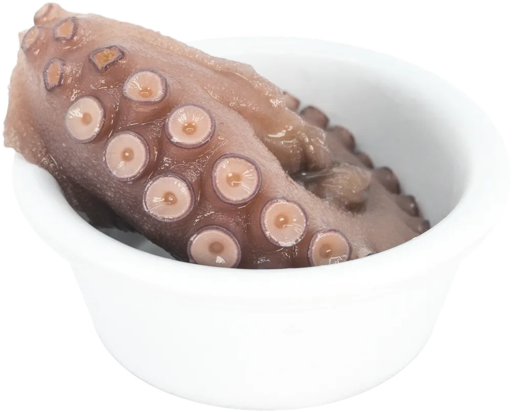 Extra de pulpo